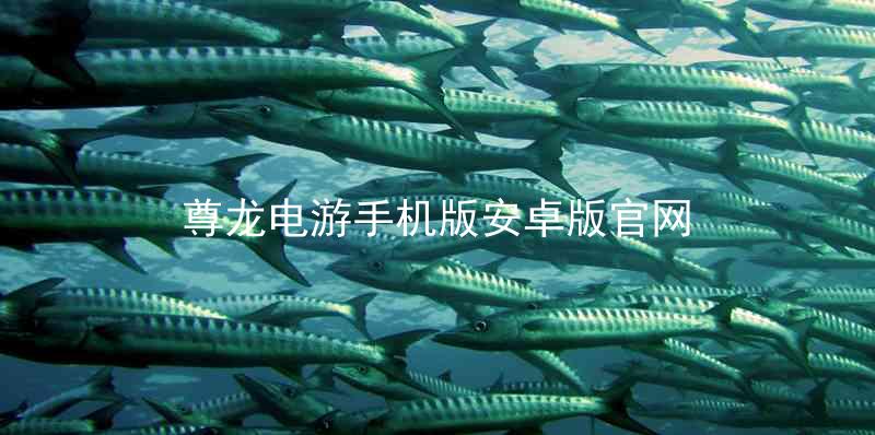 尊龙电游手机版安卓版官网