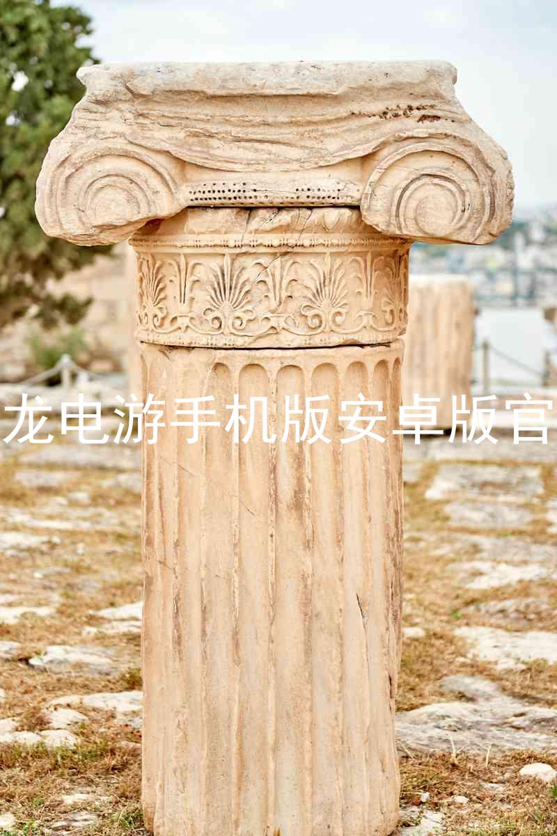 尊龙电游手机版安卓版官网