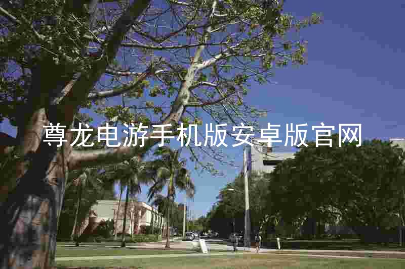 尊龙电游手机版安卓版官网